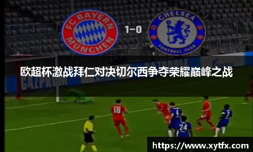 xk体育官网