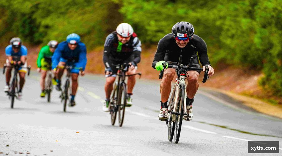 熊猫体育平台数据与激情同频，专业共欢乐一色！📊🎉 用科技解锁体育新视角！